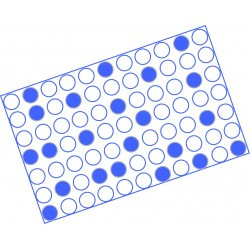 proAKAP4 4MID Kit (ELISA, Dog)