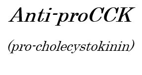 Anti-proCCK pAb