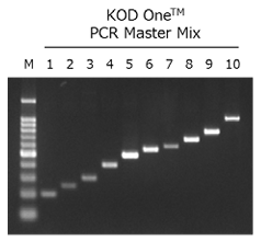 KOD One® PCR Master Mix (Dye-free 2×PCR Master Mix)