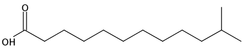 11-Methyldodecanoic acid