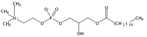 1-Palmitoyl-2-Hydroxy-sn-Glycero-3-Phosphatidylcholine
