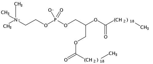 1,2-Diarachidoyl-sn-Glycero-3-Phosphatidylcholine