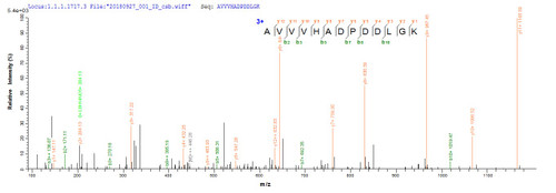Based on the SEQUEST from database of E.coli host and target protein, the LC-MS/MS Analysis result of CSB-EP619615DOY could indicate that this peptide derived from E.coli-expressed Aspergillus japonicus sodC.