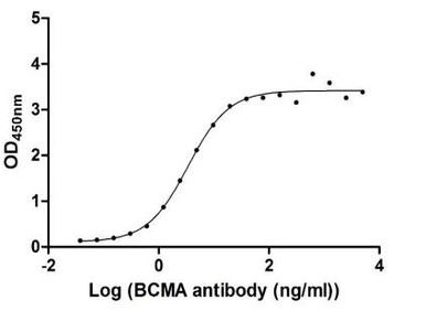 Recombinant Human Tumor necrosis factor receptor superfamily member 17(TNFRSF17),partial (Active) (CSB-MP023974HU1)