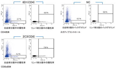 Anti Fish T-Cell Surface Glycoprotein CD8 Alpha Chain (CD8A) mAb (Clone 2C3)