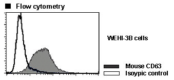 Anti-CD63 (LAMP-3) (Mouse) mAb (Clone: R5G2)
