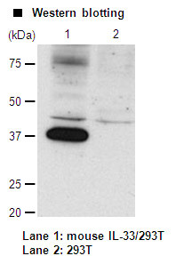 Anti-IL-33 (Mouse) mAb Functional Grade (Clone: 2C7)