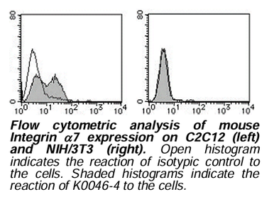 Anti-Integrin α7 (Mouse) mAb-FITC (Clone: 3C12)