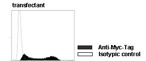Anti-Myc-tag mAb-Alexa Fluor™ 647 (Clone: PL14)
