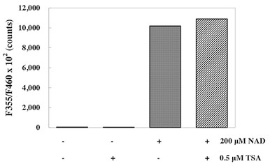 CycLex® SIRT1/Sir2 DeacetylaseFluorometric Assay Kit Ver.2