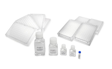 LeukoComplete™ Gene Detection Kit for human B2M