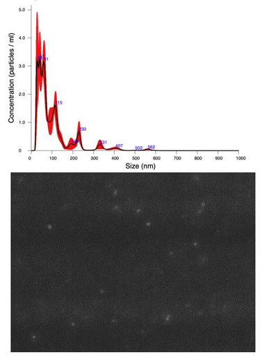 EValuator™ CD9 reagent (fluorescent detection 488)
