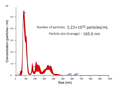 Extracellular Vesicles derived from Pantoea agglomerans IG1 strain