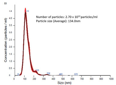Extracellular Vesicles derived from Bacillus coagulans lilac-01 strain