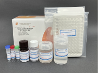 Gram-negative bacterial EV ELISA Kit
