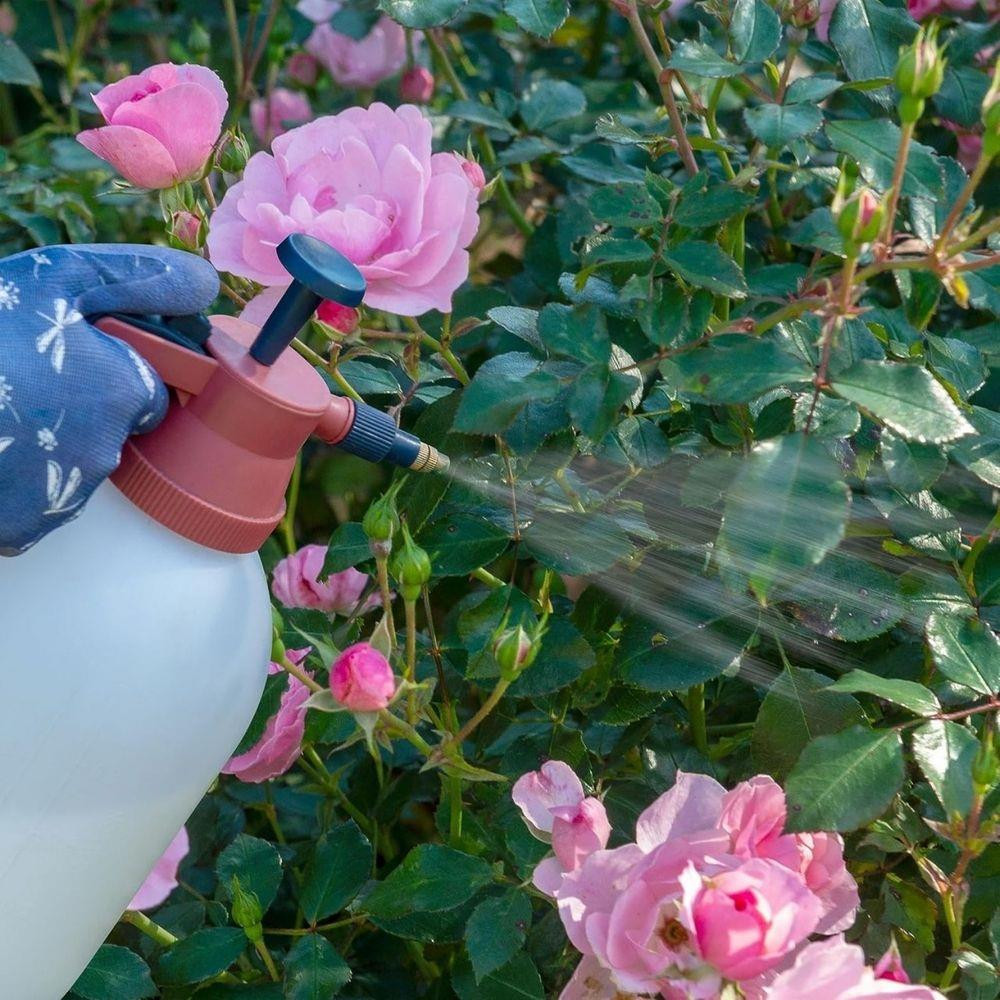 Rose ClearUltra Shield For roses Flowers And Shrubs 200Ml