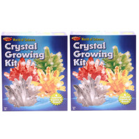 World Of Science Crystal Growing Kit (QTY:2)