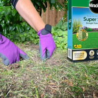 Miracle-Gro Professional Super Seed Drought Tolerant Lawn Seed - 66m2 - 2kg