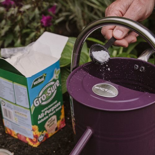 All Purpose Soluble Plant Food - 800g