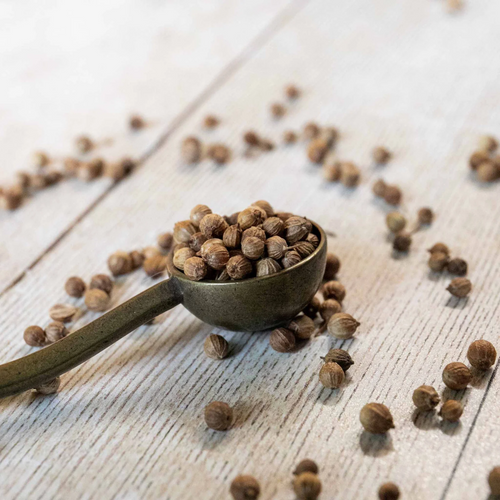 Unwins Coriander Fine Leaved Herb Seeds - 200 Seeds