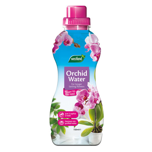 Westland Orchid Water Ready To Use - 720ml