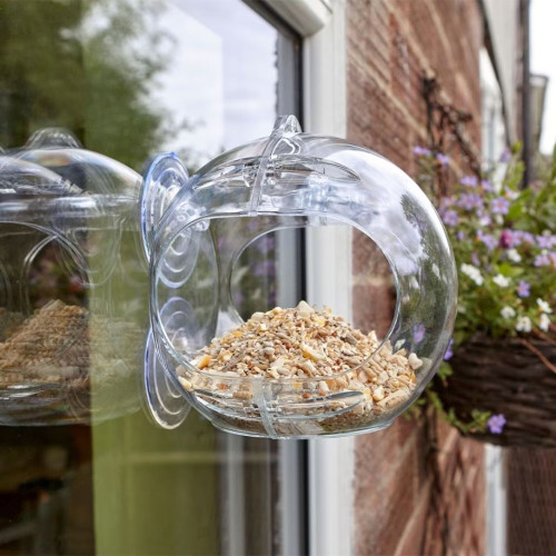 Peckish Globe Window Bird Feeder