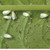  Whitefly Killer Chemical Free Concentrate 500ml