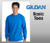 Gildan Adult Heavy Cotton Sleeves Tee