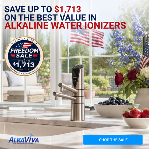 Delphi H2 Water Ionizer