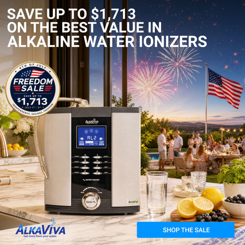 Vesta H2 Water Ionizer