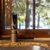 Delphi H2 Water Ionizer