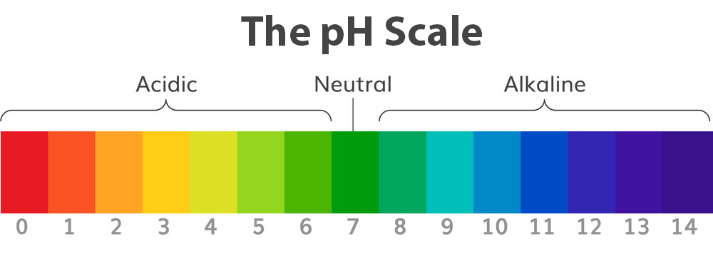 acidic alkaline ph scale