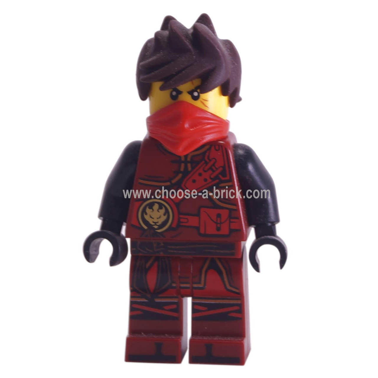 Hands of Time 70621 - LEGO Minifigure Ninjago