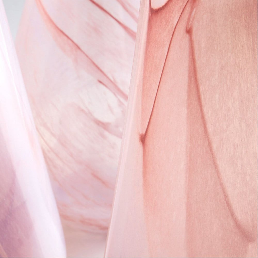 {"pim_id":"182_09981_2_new_2k","sku":"182_09981","media_type":"media"}