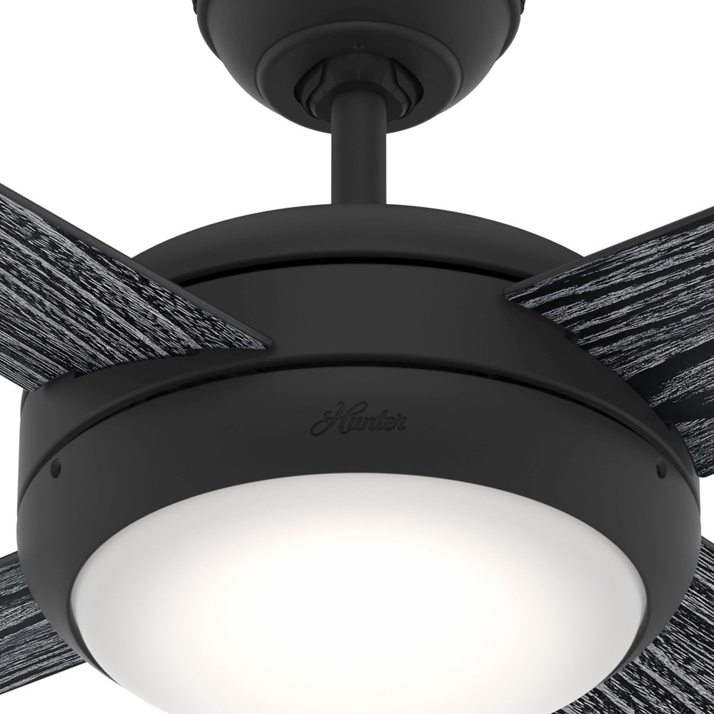 {"pim_id":"166_50849_product_detail_5_new_2k","sku":"166_1001051","media_type":"media"}