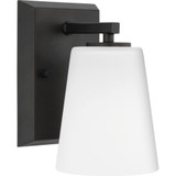 Vertex 1 Light Ethed Glass Vanity Light by Progress - P300461