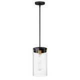 Pinn 1 Light Small Pendant by Maxim - 12408