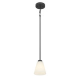 Strayhan 1 Light Pendant 6.25 Inch Tall and 5.75 Inch Wide by Millennium - 64101-WG