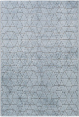 Contempo Rugs 24 x 35 Inches by Surya CPO3732 - CPO3732
