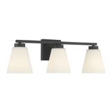 Strayhan 3 Light Bath Vanity 7 Inch Tall and 22 Inch Wide by Millennium - 64003-WG