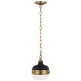 Cadence 1 Light Small Pendant by Generation - P1282