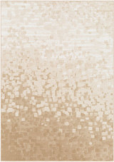Contempo Rugs 24 x 35 Inches by Surya CPO3841 - CPO3841