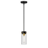 Pinn 1 Light Mini Pendant 10 Inches Tall and 5 Inches Wide by Maxim - 12406