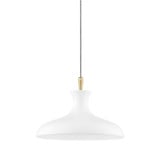 Cassidy 1 Light Medium Pendant by Mitzi - H421701S