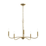 Ilia 5 Light Chandelier 18.25 Inch Tall and 28 Inch Wide by Progress - P400462