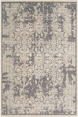 Aesop Rugs 24 x 35 Inches by Surya ASP2309 - ASP2309