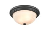 2 Light Flush Mount 5.5 Inch Tall and 13 Inch Wide by Millennium - 4603