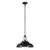 Palmetto 1 Light Medium Pendant by Alora - PD344014