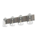 Devon Park 4 Light Rustic Vanity Light by Hunter - 48022