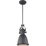 Cresswell Series 1 Light Small Pendant by Matteo - C53801